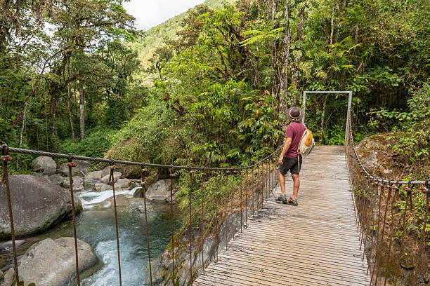 istock Traveler on Scenic Jungle Bridge Admiring River View 2197575130