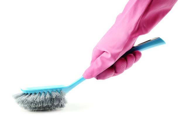 Female hand holding toilet brush on white background
