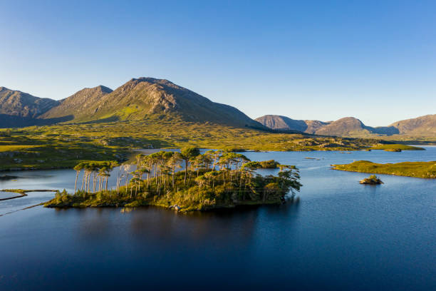 istock Aerial View over Connemara Lakes, Galway, Ireland 2197576920