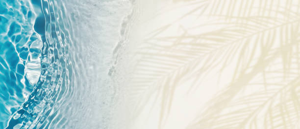 istock palm leaf shadow and blue water wave at sand beach from above, empty tropical nature background banner concept with copy space for travel, vacation and relaxation outdoors 2197576997