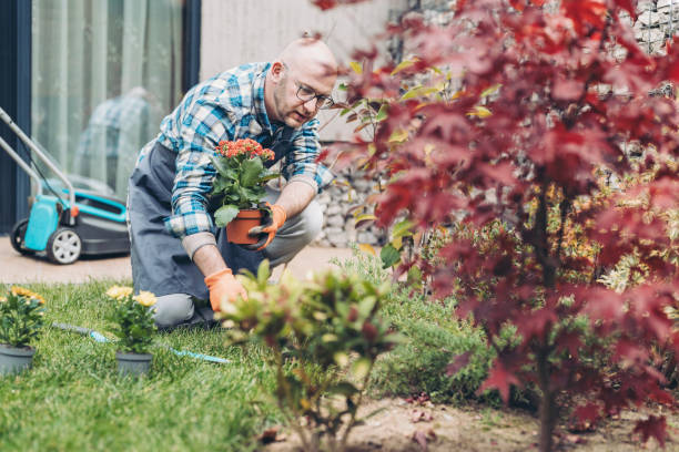 istock Man planting flowers in the back yard flower bed 2197577008