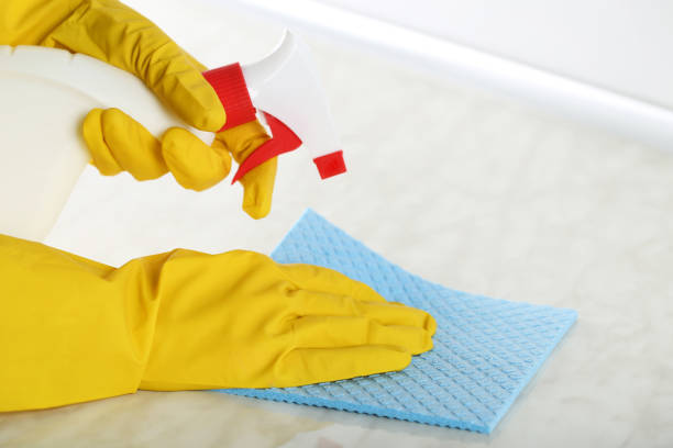 istock Hands in gloves with sponge and bottle of detergent cleaning kitchen table 2197579503