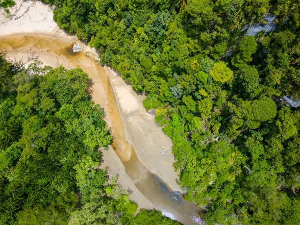 istock Vertical view of a small river running through dense tropical rainforest in Borneo 2197582417