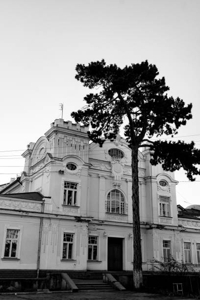 A black and white photograph of a historic building with intricate architectural details, framed by a tall tree in the foreground. The contrast between nature and classical architecture creates a timeless urban scene.