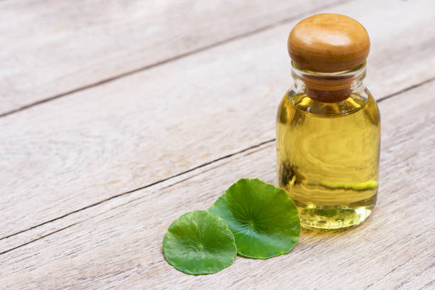 istock Centella Asiatica oil 2197582620