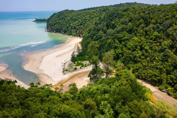 istock Sandy beach surrounded by tropical jungle in Sarawak, Borneo 2197582680