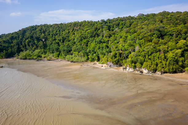 istock Drone view of a sandy beach surrounded by tropical jungle at low tide 2197582852