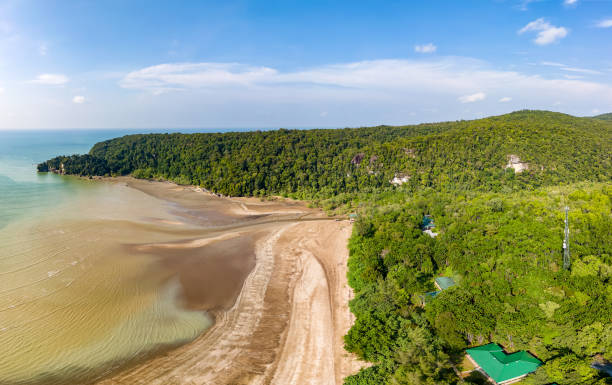istock Drone shot of a sandy beach and tropical jungle 2197582935