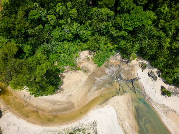 istock Birds eye view of a jungle river surrounded by lush, dense tropical rainforest 2197582988