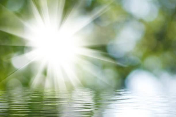Sunlight bursts through lush green leaves, casting an ethereal glow on calm water beneath. Soft reflections ripple gently, enhancing the serene beauty of a tranquil afternoon in nature.