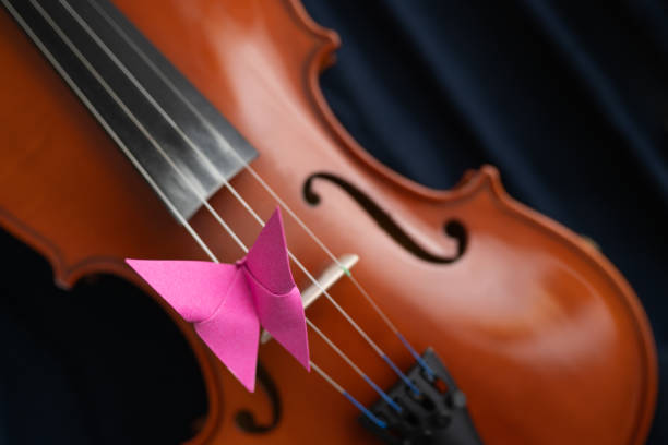 Sad looking violin player girl.