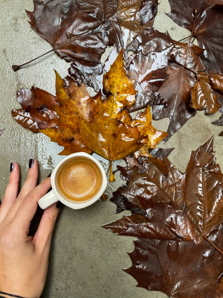 istock Wet autumn leaves on a concrete surface with a single espresso cup and a hand with black nail polish. 2197587103