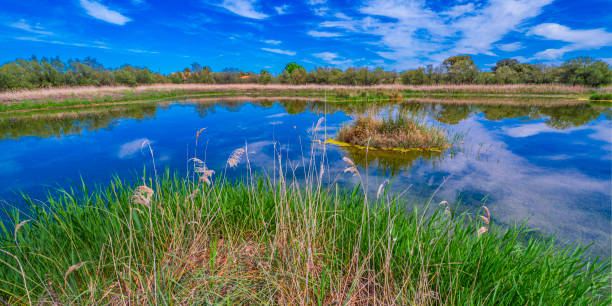 istock Tablas de Daimiel National Park, Spain 2197589835