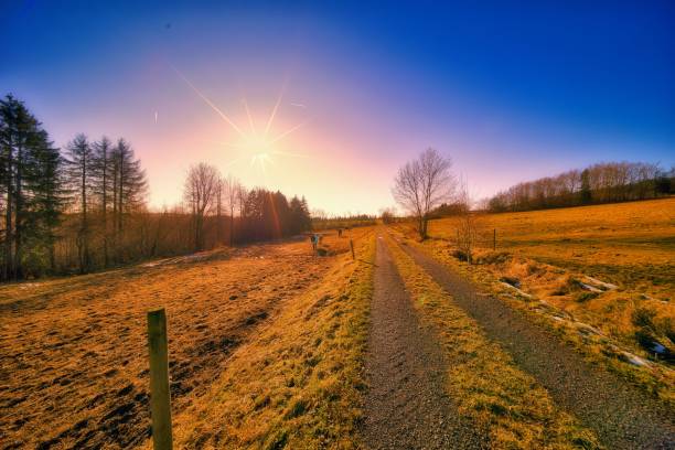 istock Spring on the horse farm in the Thuringian Forest 2197590265