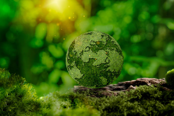 istock Environment Concept.  Grass Earth On moss In Forest With Ferns And Sunlight.  Environment, save clean planet 2197597838