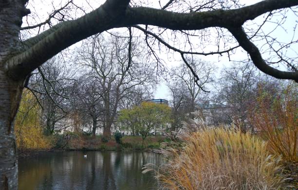 istock St James Park Lake London 2 2197605620