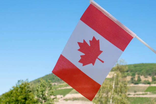 istock Canada national flag on the sky. Nature background. 2197606918