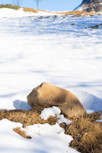 Sunlight glistens on a pristine blanket of snow covering a rocky terrain, with clear blue skies and distant mountains creating a serene winter landscape.