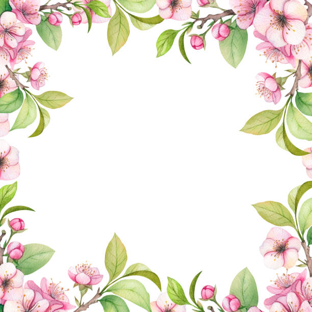 istock Watercolor apple bloom frame. Retro pink flowers (apple, cherry blossom). Floral frame for vintage greeting card. Aquarelle 2197612167