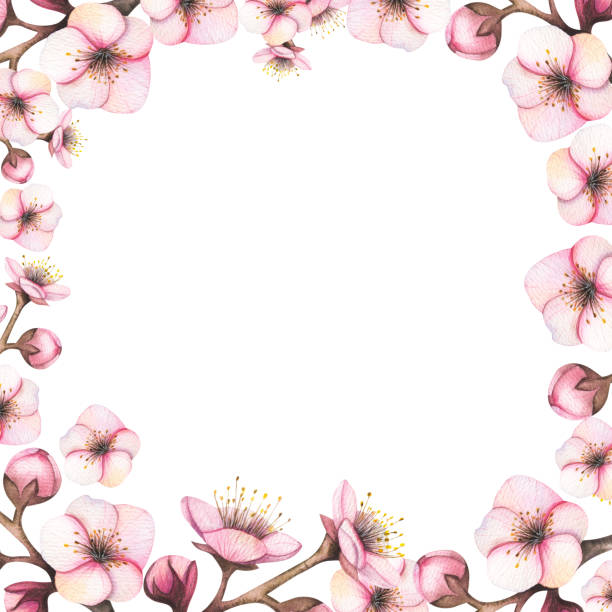 istock Watercolor apple bloom frame. Retro pink flowers (apple, cherry blossom). Floral frame for vintage greeting card. Aquarelle 2197612173