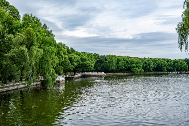 istock Scenery of Beiling Park in Shenyang, China 2197612416