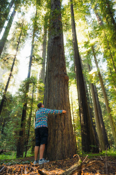 1200 Miles of California Pacific Discovery