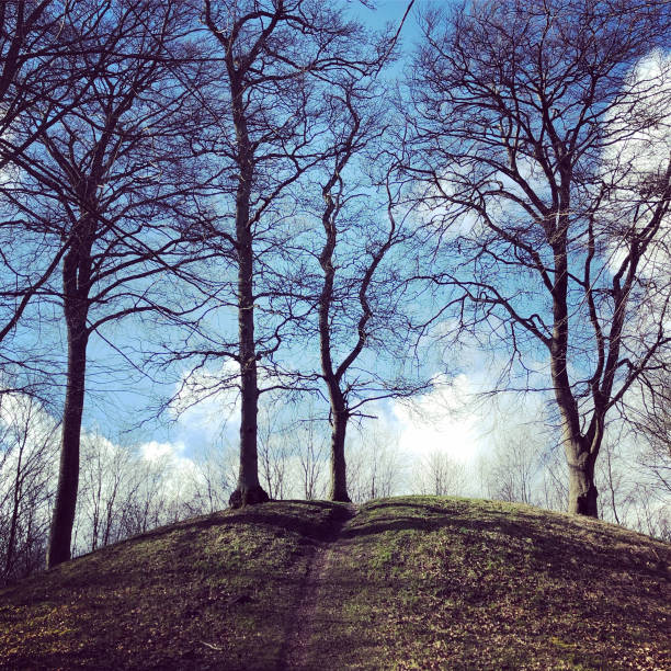 An old grave hill from the ra of the vikings in Denmark