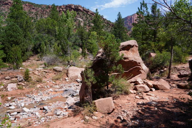 istock Taylor Creek Trail - Zion National Park 2197622025