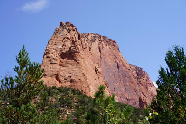 Taylor Creek Trail - Zion National Park