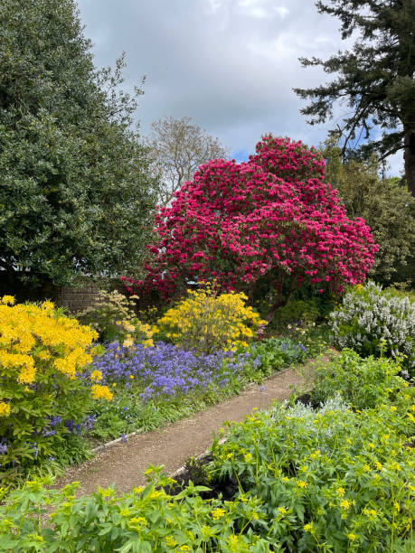 istock Footpath Between Garden Beds, Belsay, Northumberland, Egland 2197624370