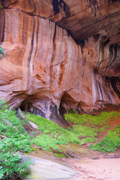istock Taylor Creek Trail - Zion National Park 2197625006