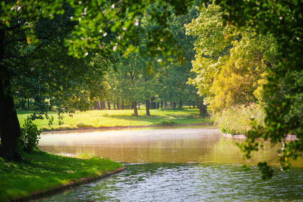 Tranquil lake surrounded by lush green trees and vibrant grass under summer sunlight.
