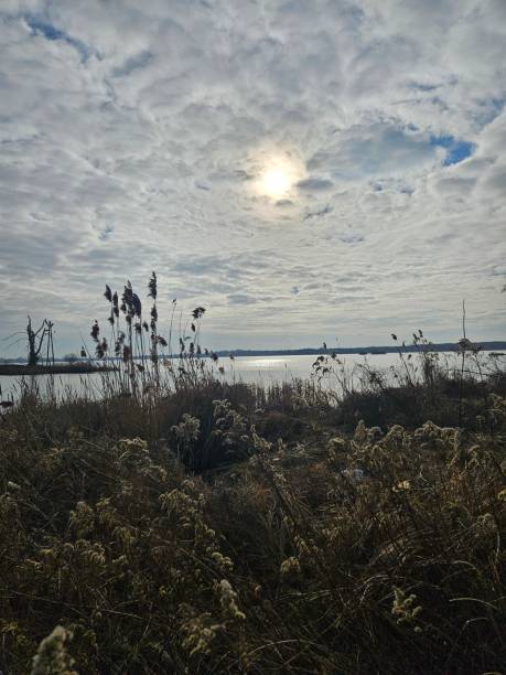 istock Zegrzynski Lagoon in February. 2197627343