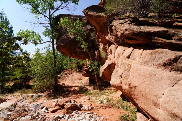 istock Taylor Creek Trail - Zion National Park 2197627501