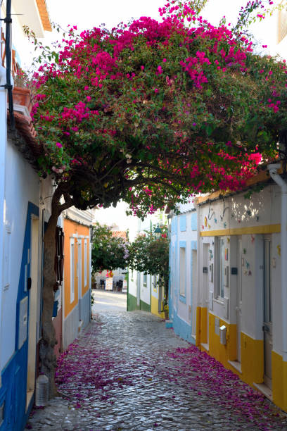 istock ferragudo algarve portugal 2197627771