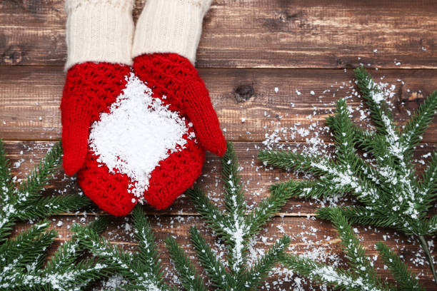 istock Hands in knitted mittens holding white snow and fir tree branches on wooden table 2197628483