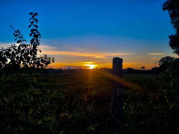 istock Beautiful sunset view in tamilnadu 2197630149