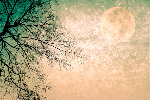 istock Full Moon on Textured Sky with Tree Silhouette and Copy Space - Atmospheric Mood 2197634299