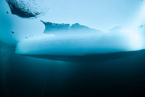 A diver exploring the frozen waters beneath the ice in Panticosa, Huesca, Spain. The diver, equipped with full diving gear, is seen submerged under a thick layer of ice, navigating the cold and crystal-clear water, with sunlight filtering through the ice above.