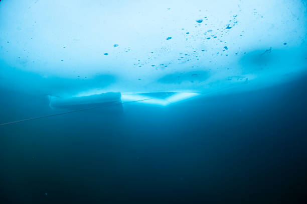 A diver exploring the frozen waters beneath the ice in Panticosa, Huesca, Spain. The diver, equipped with full diving gear, is seen submerged under a thick layer of ice, navigating the cold and crystal-clear water, with sunlight filtering through the ice above.
