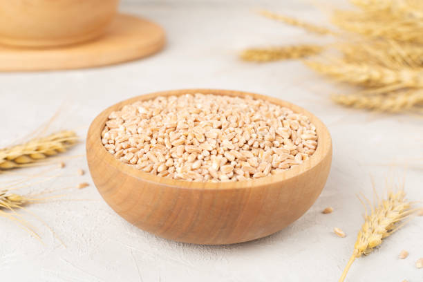 istock Bowl with spelt grain and ears on concrete background 2197638552