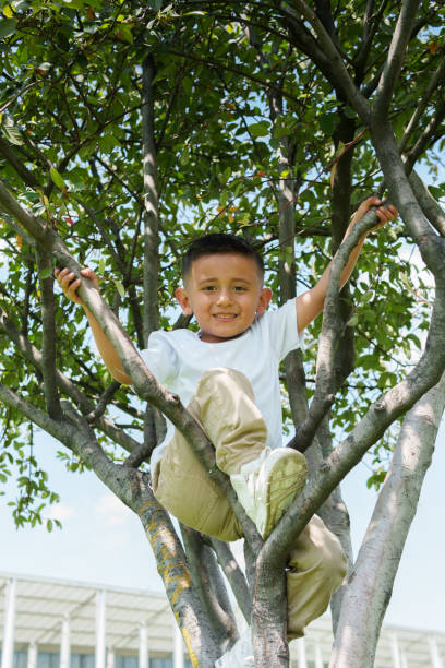 A cute little boy is sitting on the branches of a tree. The boy is smiling and looking at the camera, he is happy in the park