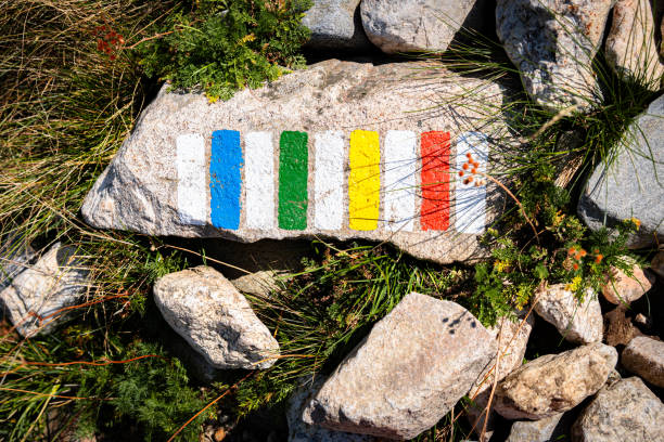 Brightly colored trail markings painted on rocks guide hikers along a scenic mountain path, enhancing navigation in the great outdoors