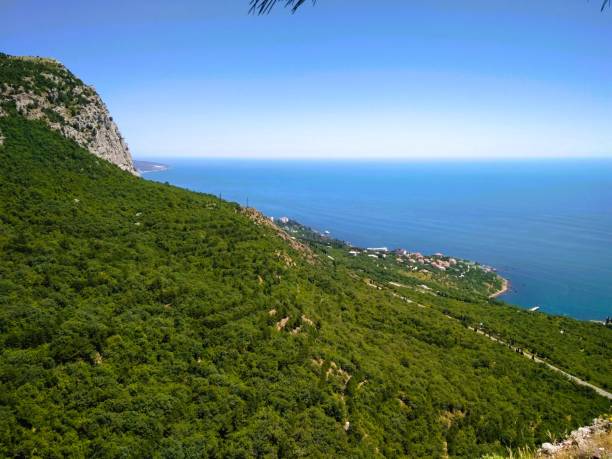This image showcases a steep mountainside covered in vibrant green vegetation, tumbling down towards the deep blue sea. The rugged texture of the mountain contrasts beautifully with the smooth expanse of the water