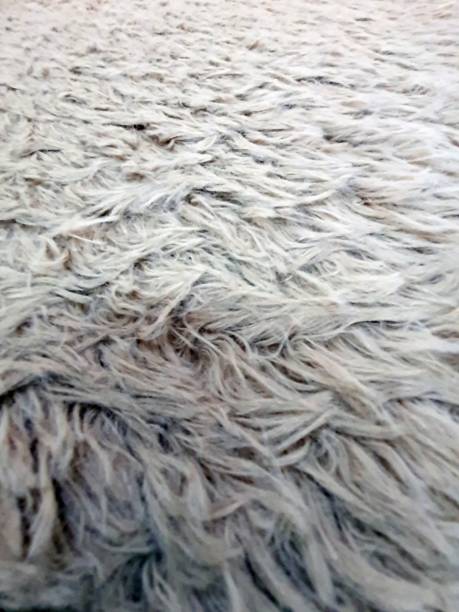 istock Close up of a gray artificial skin 2197653383