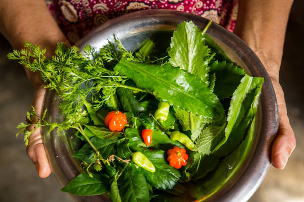 istock Woman showing a with some fresh ingredients recently picked 2197656193