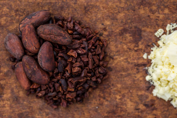 istock The ingredients ofthe Chocolate (cocoa nibs, cocoa butter and suggar) - south of Bahia state (Brazil) 2197657373