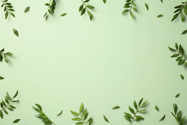 istock Green leaves frame on a light green background. Flat lay, top view, copy space 2197658586