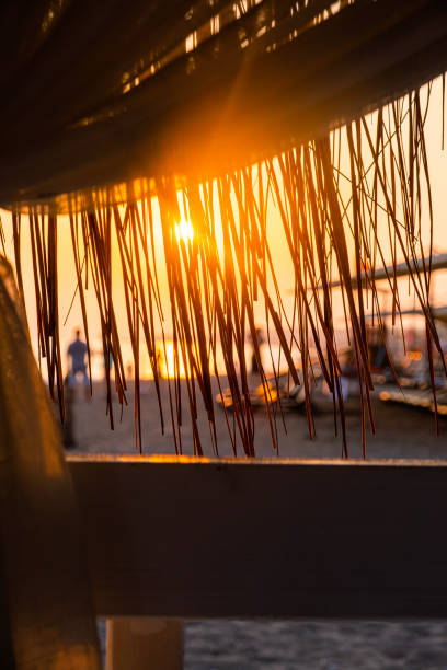View from camping tent on full length surfer walking on the beach at sunrise.
