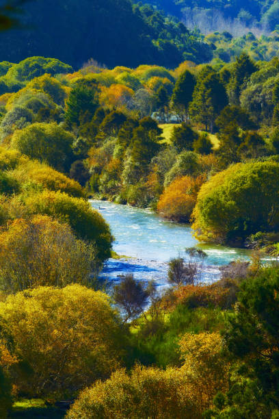 A serene river winds through a stunning valley, surrounded by trees showcasing their colorful autumn foliage in hues of green, yellow, and orange. The scene offers tranquility and natural beauty.